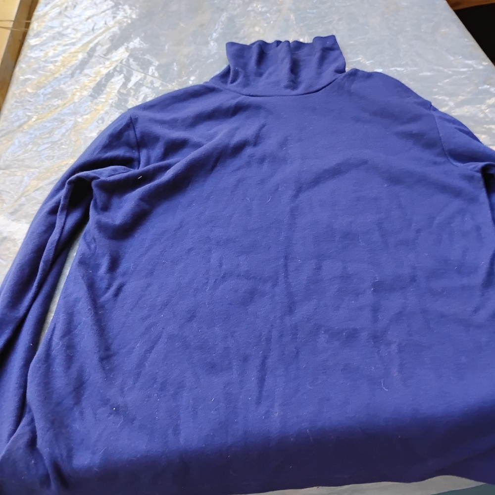 Cotton Blue Turtleneck Top